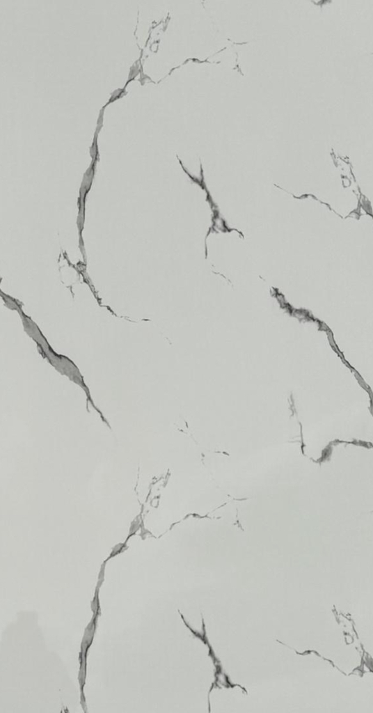 Réf ORL : Plaque PVC Mural B6 260*122cm